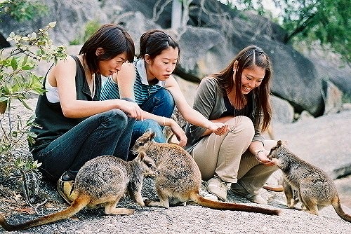 どきどき動物探検ツアー